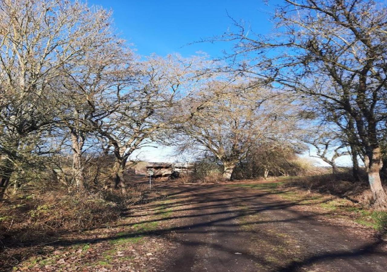 Exklusive Naturoase Direkt Am Ars Natura Wanderweg Mit Panoramablick Auf Melsungen 아파트 외부 사진